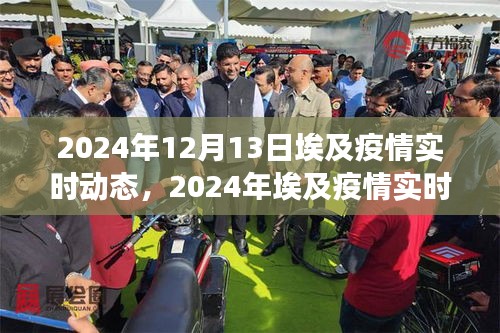 2024年埃及疫情實(shí)時(shí)動(dòng)態(tài)關(guān)注指南，入門到進(jìn)階全方位解讀