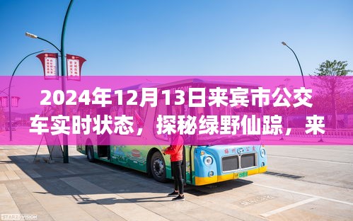 管窺蛙見 第2頁