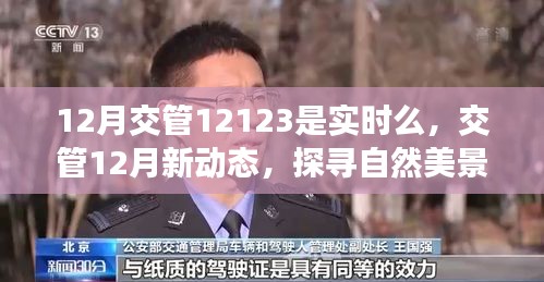 交管新動(dòng)態(tài)揭秘，探尋自然美景之旅，啟程尋找內(nèi)心的寧靜與平和的啟示