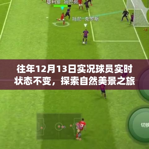 12月13日，球場激情與心靈寧靜的自然探索之旅