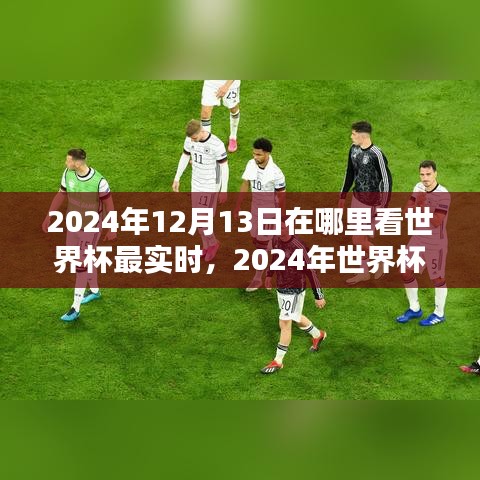 2024世界杯盛宴實時觀看指南，最佳觀賽地點揭秘