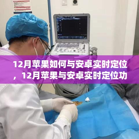 深度解析，蘋果與安卓在12月的實(shí)時(shí)定位功能及個(gè)人觀點(diǎn)分享