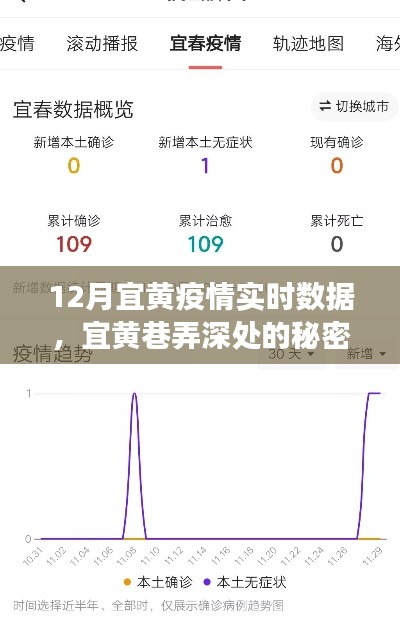 宜黃疫情下的秘密寶藏，巷弄深處的溫情角落與獨(dú)特風(fēng)味實(shí)時(shí)數(shù)據(jù)報(bào)告