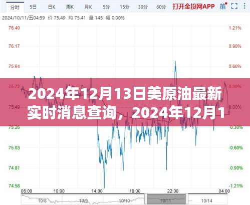 2024年12月13日美原油實(shí)時(shí)消息查詢指南