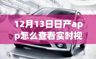 日產(chǎn)app實(shí)時(shí)視頻查看指南，多方觀點(diǎn)與個人立場解析（12月13日版）