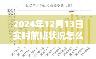 輕松科普，如何查看與分析2024年12月13日實時航班狀況解讀航班動態(tài)信息指南
