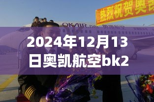 奧凱航空BK2821航班實(shí)時(shí)動(dòng)態(tài)查詢指南，初學(xué)者快速掌握指南（日期，2024年12月13日）
