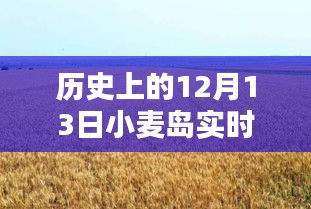 小麥島，12月13日的溫馨時光與實(shí)時記憶碎片
