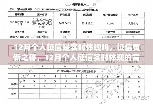 揭秘，12月個人征信實(shí)時更新背后的影響與洞察