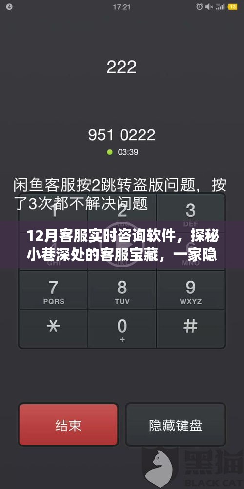 探秘隱藏版客服寶藏，十二月實(shí)時(shí)咨詢軟件奇妙之旅