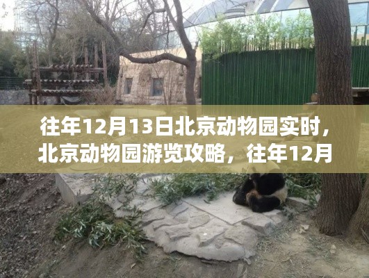 往年12月13日北京動(dòng)物園游覽攻略，完美體驗(yàn)指南