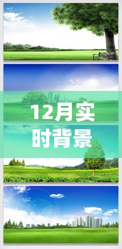 探索自然秘境，12月實時背景摳圖素材帶你踏上寧靜之旅