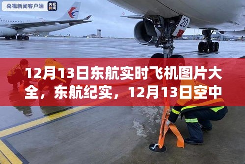 東航實時飛機紀(jì)實，空中巨翼的翱翔與影響，12月13日實拍圖片大全