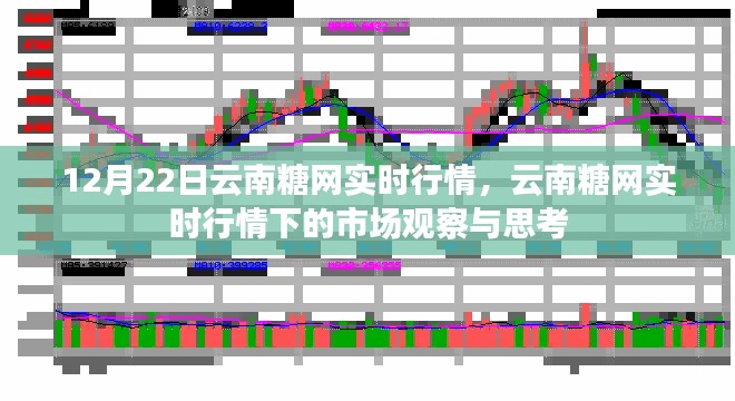 12月22日云南糖網(wǎng)實時行情深度解析，市場觀察與思考