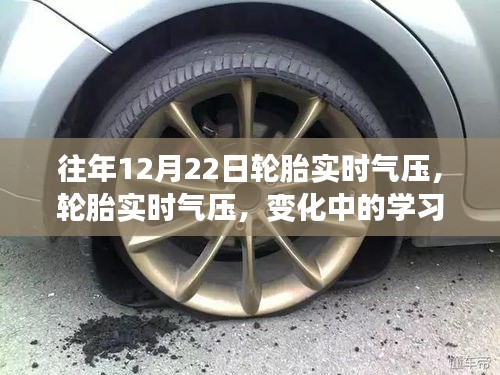 輪胎實(shí)時氣壓監(jiān)測，學(xué)習(xí)、自信與成就感的源泉，歷年變化解析