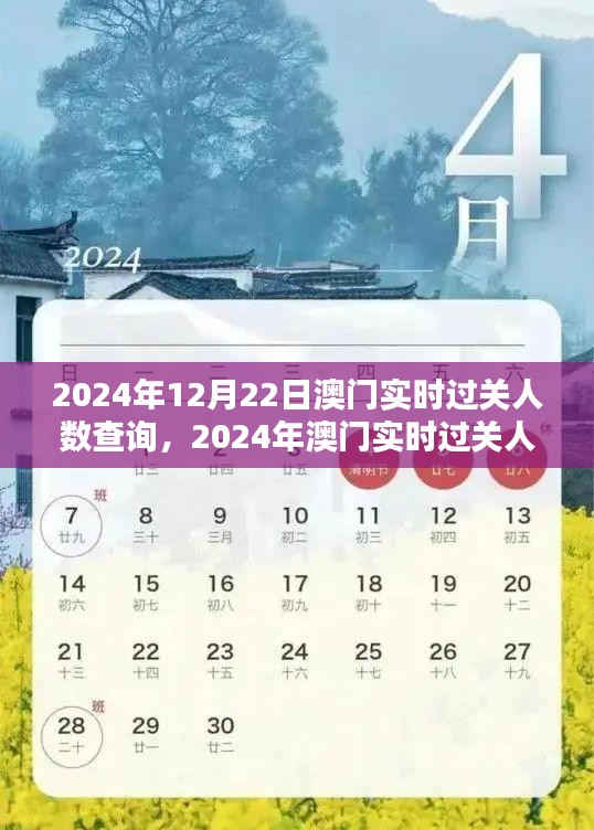 澳門實(shí)時(shí)過關(guān)人數(shù)查詢指南，掌握出入境動(dòng)態(tài)，了解澳門出入境最新動(dòng)態(tài)（2024年）