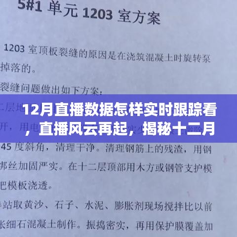 揭秘十二月直播風(fēng)云，實(shí)時(shí)跟蹤數(shù)據(jù)之旅