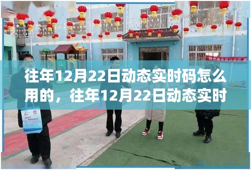 往年12月22日動態(tài)實時碼應(yīng)用指南，深度操作與實用技巧