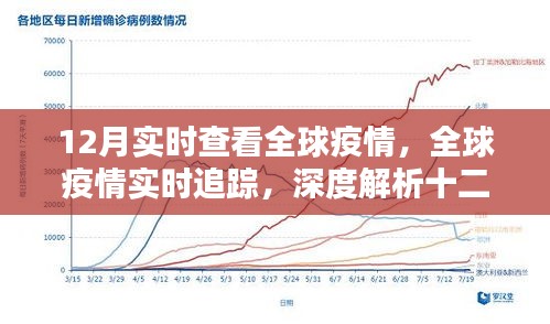 全球疫情最新動態(tài)解析，深度追蹤十二月疫情實時變化