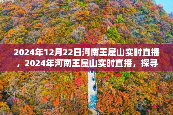 河南王屋山自然秘境探尋，多元觀點(diǎn)的實(shí)時(shí)直播之旅（2024年12月22日）