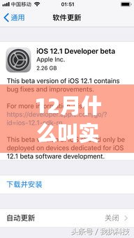 揭秘實(shí)時(shí)生成文件，重塑未來辦公體驗(yàn)的科技前沿新功能，揭秘十二月新功能亮點(diǎn)