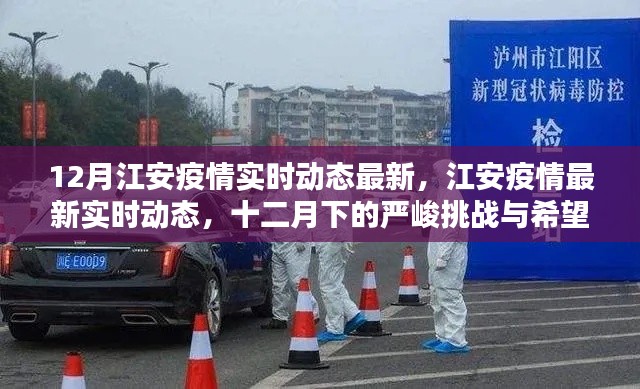 江安疫情最新實(shí)時(shí)動(dòng)態(tài)，十二月下的嚴(yán)峻挑戰(zhàn)與希望的曙光