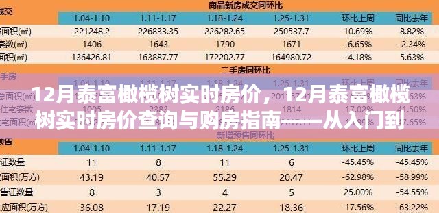 12月泰富橄欖樹實時房價詳解，購房指南與查詢攻略