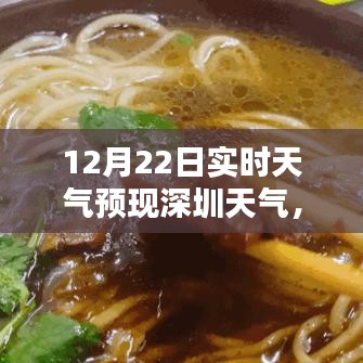 深圳秘境探索，小巷特色小店與實(shí)時(shí)天氣預(yù)報(bào)