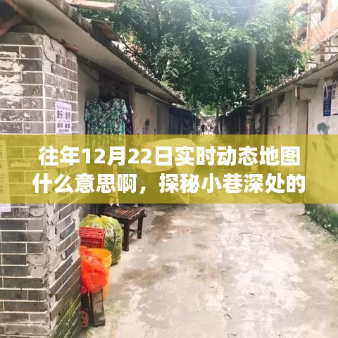 探秘時光小巷，一家特色小店的實時動態(tài)地圖故事與驚喜發(fā)現(xiàn)