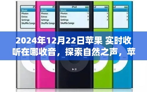 蘋果實(shí)時(shí)收音機(jī)，探索自然之聲的奇妙之旅（2024年12月22日）
