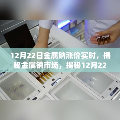 揭秘金屬鈉市場，漲價(jià)背后的實(shí)時(shí)動(dòng)態(tài)（12月22日更新）