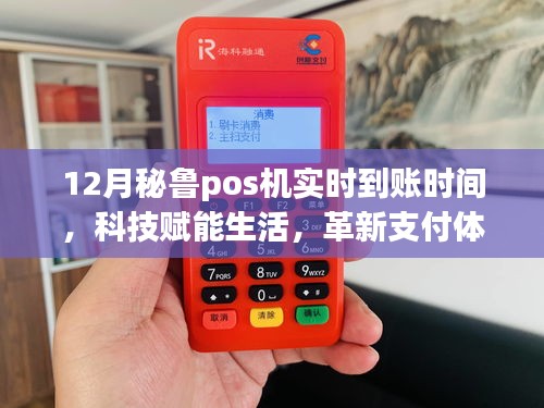 揭秘十二月秘魯POS機實時到賬科技，革新支付體驗，啟程神奇之旅