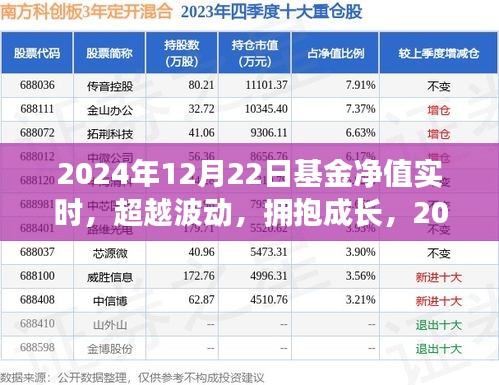 揭秘基金凈值背后的故事，超越波動，擁抱成長，探尋2024年12月22日基金凈值實(shí)時動態(tài)