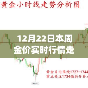 黃金走勢揭秘，學(xué)習(xí)變化，掌握無限可能的黃金行情走勢圖