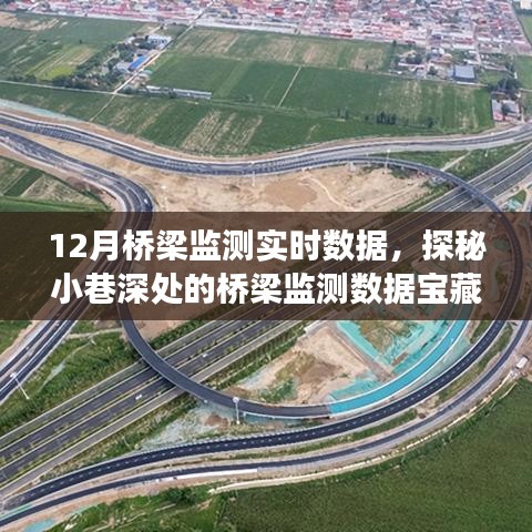 探秘隱藏版特色小店，揭秘十二月橋梁監(jiān)測數(shù)據(jù)寶藏與小巷深處的非凡故事