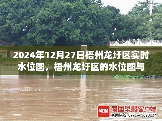 梧州龍圩區(qū)水位實(shí)時(shí)圖，溫情故事與水位的交織
