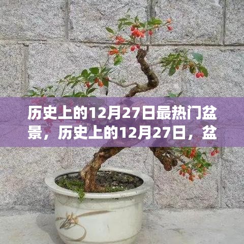 揭秘歷史上的盆景熱潮，探尋盆景背后的故事與種子力量，領(lǐng)略變化與自信的魅力