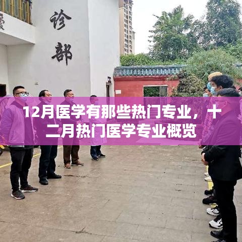 十二月熱門醫(yī)學(xué)專業(yè)概覽，探索醫(yī)學(xué)領(lǐng)域的熱門專業(yè)方向