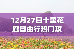 科技賦能生活，十里花廊智能自由行攻略（12月27日版）