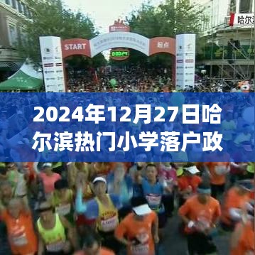 哈爾濱熱門小學(xué)落戶政策深度解讀與評測，以最新數(shù)據(jù)為例