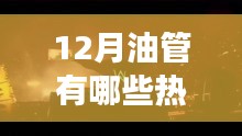 12月油管熱門歌曲，心靈之旅探尋自然美景的激情與寧靜