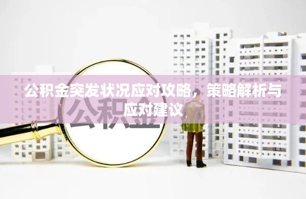 公積金突發(fā)狀況應(yīng)對(duì)攻略，策略解析與應(yīng)對(duì)建議