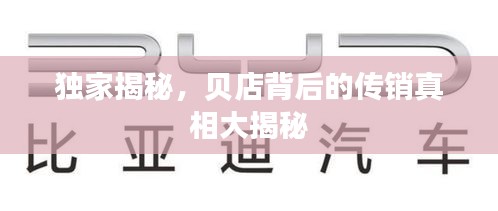 獨家揭秘，貝店背后的傳銷真相大揭秘