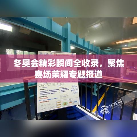 冬奧會(huì)精彩瞬間全收錄，聚焦賽場(chǎng)榮耀專題報(bào)道