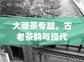 大藏茶專題，古老茶韻與現(xiàn)代風(fēng)情交相輝映