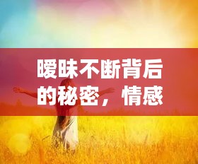 曖昧不斷背后的秘密，情感糾纏引人深思
