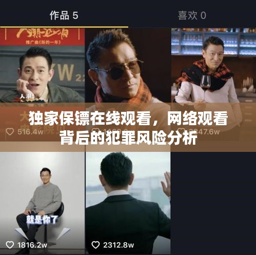 獨(dú)家保鏢在線觀看，網(wǎng)絡(luò)觀看背后的犯罪風(fēng)險(xiǎn)分析
