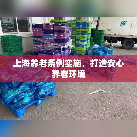 上海養(yǎng)老條例實(shí)施，打造安心養(yǎng)老環(huán)境