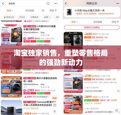淘寶獨(dú)家銷(xiāo)售，重塑零售格局的強(qiáng)勁新動(dòng)力
