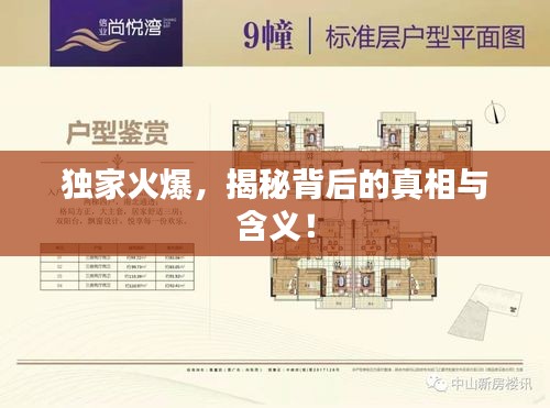 獨家火爆，揭秘背后的真相與含義！